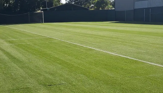 技术支持:如何构建高效的技术支持方案
